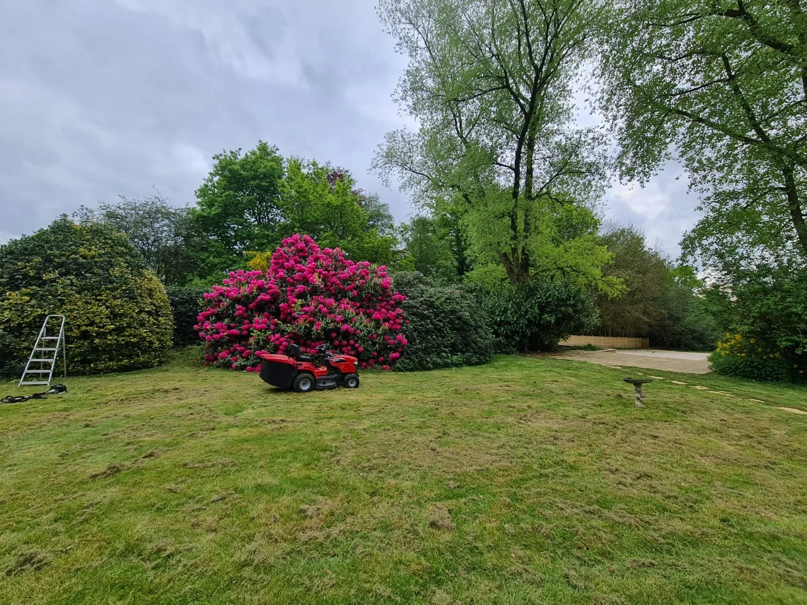 Large lawn and garden maintained by Staffordshire Masterscapes