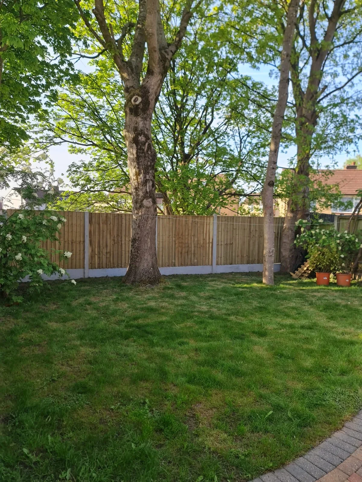 Maintained garden lawn with fencing and mature trees